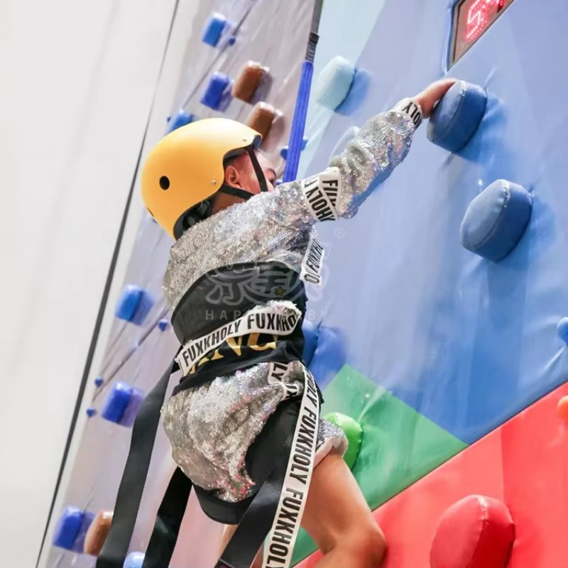 Professionelle Kletterwand – S – Outdoor Sports Center Bewertung und Preis
